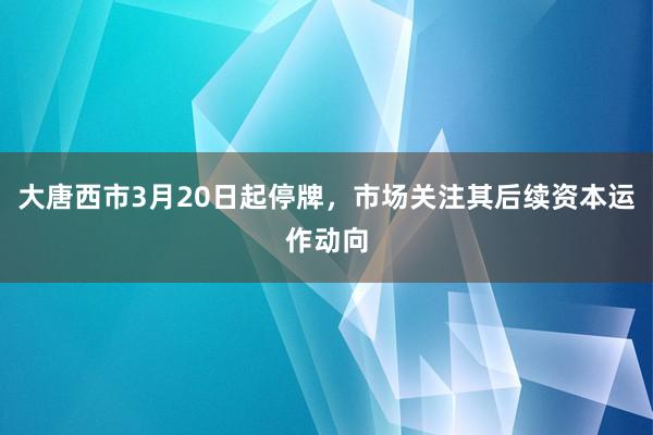 大唐西市3月20日起停牌，市场关注其后续资本运作动向