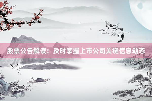 股票公告解读：及时掌握上市公司关键信息动态