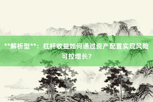 **解析型**：杠杆收益如何通过资产配置实现风险可控增长？