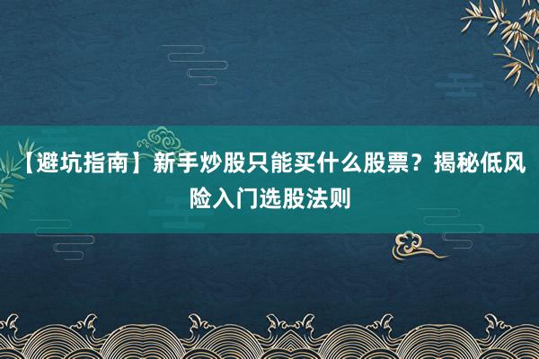 【避坑指南】新手炒股只能买什么股票？揭秘低风险入门选股法则
