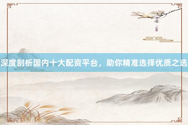 深度剖析国内十大配资平台，助你精准选择优质之选