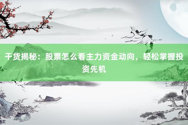 干货揭秘：股票怎么看主力资金动向，轻松掌握投资先机