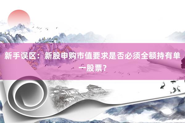 新手误区：新股申购市值要求是否必须全额持有单一股票？
