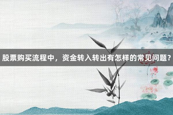 股票购买流程中,资金转入转出有怎样的常见问题?