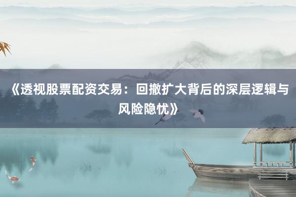 《透视股票配资交易：回撤扩大背后的深层逻辑与风险隐忧》